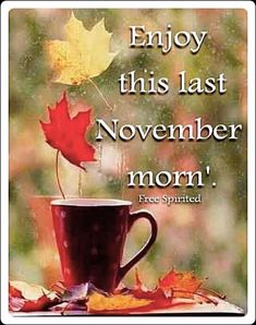 a coffee cup with a fall leaf in it and the words enjoy this last november morn