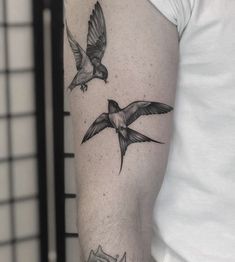 two birds flying next to each other on the right side of the arm and shoulder