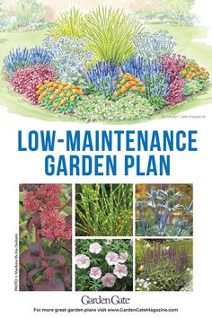 the front cover of a garden plan for low maintenance and flower bedding, including various plants