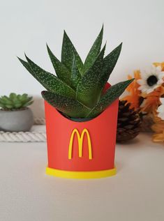 a potted plant sitting on top of a table