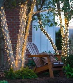 just lights christmas tree Inexpensive Landscaping, Diy Landscaping Ideas, Lighting Garden, Twinkle String Lights, Landscaping Backyard, Beautiful Outdoor Living Spaces, Design Tricks, Garden Hacks, Battery String Lights