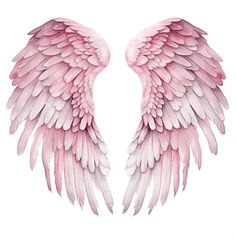 two pink angel wings on a white background