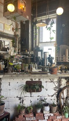 a kitchen filled with lots of potted plants and pots on top of a counter