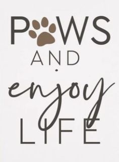 a sign that says paws and enjoy life with a dog's paw on it