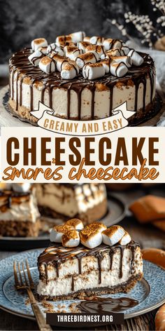 Decadent S’mores Cheesecake: A Sweet Twist on a Timeless Favorite - This Little Nest Party Cheesecake Cups, Quick Cheesecake Desserts, Cheesecakes For Fall, Cheesecake Filled Cake, S'mores Cheesecake, Beginner Cheesecake Recipe, Good Cheesecake Recipes, Fall No Bake Cheesecake, Thanksgiving Recipes Dessert Chocolate