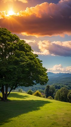 the sun shines brightly behind a large tree on top of a grassy hill with mountains in the distance