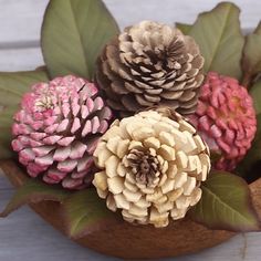 three different types of pine cones in a wooden bowl with leaves and flowers around them