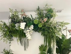 some plants are hanging on the wall in front of other greenery and foliages