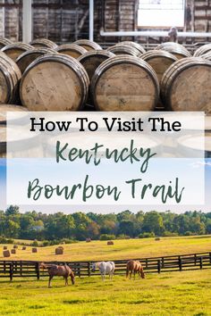 barrels and horses in a field with text overlay how to visit the kentucky bourbon trail