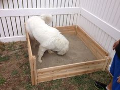 a small white dog standing in a wooden crate on the ground next to a person