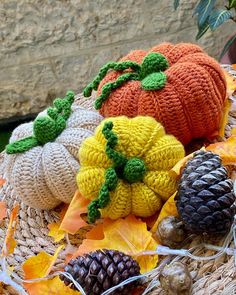 knitted pumpkins and pine cones are sitting on the ground next to autumn leaves