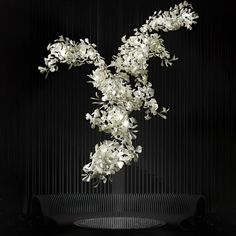 an arrangement of white flowers on a black table