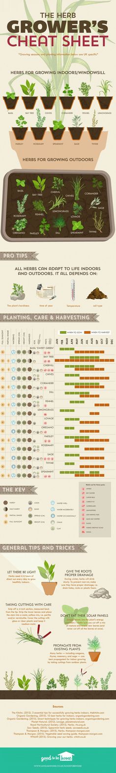 an info sheet showing different types of boats