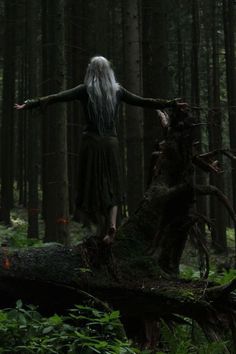 a woman with long white hair is standing on a log in the middle of a forest