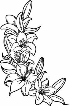 black and white drawing of lilies on a branch with flowers in the center, against a white background