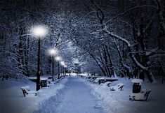 a snowy path in the park at night with street lights and benches on either side