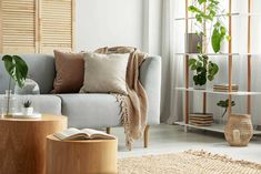 a living room filled with furniture and plants