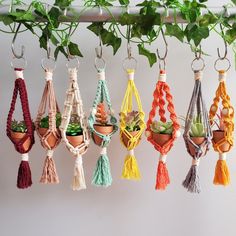 several macrame plant hangers with plants in them