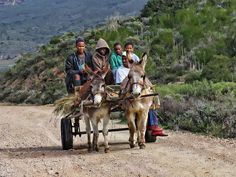 some people are riding on a cart pulled by two donkeys