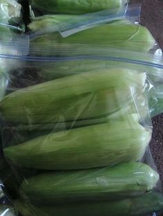 several pieces of corn are wrapped in plastic