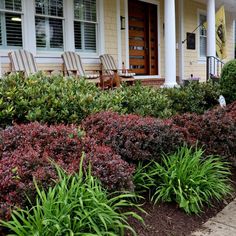 some bushes and chairs in front of a house