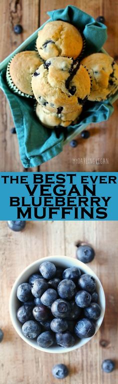 the best ever blueberry muffins