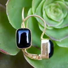 Catching all the colors of the ballroom, this simple rectangular onyx design suits your mood day or night. 24k gold over sterling silver. Size: 3/4 Inch. Horse Sweater, Lapis Earrings, Onyx Earrings, Cubic Zirconia Earrings, Zirconia Earrings, Ballroom, All The Colors, Garnet, Onyx