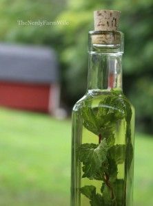 a bottle filled with green leaves sitting on top of a table next to a field