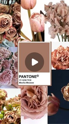 pantone's photo collage with pink flowers