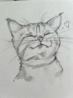 a drawing of a cat with its eyes closed