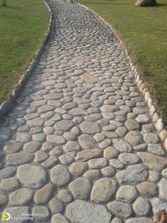 there is a dog that is walking down the stone path in front of some trees