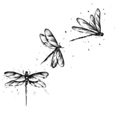 three dragonflies flying in the air with their wings spread out and one is black and white