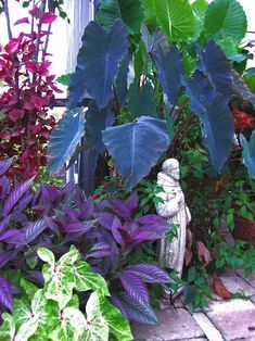 there is a statue in the garden surrounded by plants