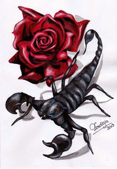 a drawing of a scorpion and a rose