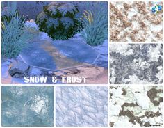 snow and frost photoshopped together to make it look like they are in different colors