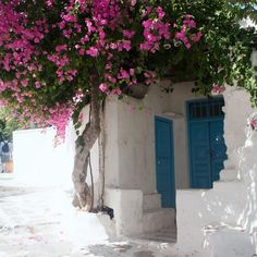 a white building with blue doors and pink flowers on the outside, next to a tree