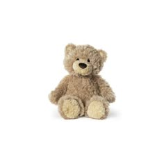 a brown teddy bear sitting up against a white background