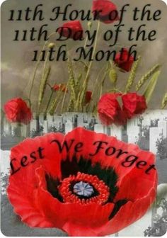 a red flower with the words,'11 th hour of the 11th month best we forget