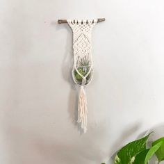 a macrame hanging on the wall next to a potted plant with green leaves