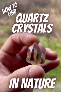 how to find quartz crystals in nature, natural amethyst crystal found by a rockhound, crystal collector Rock Hunting Tips, Where To Find Crystals In Nature, Crystals In Nature, Crystal Hunting, Crystal Mining, Geology Rocks Mineral, Gem Hunt, Quarts Crystal