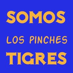 the words somos los pinches tigres are in orange and yellow on a blue background