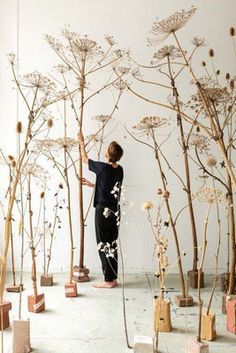 a woman standing in front of a bunch of tall trees with white flowers on them