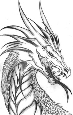 a black and white drawing of a dragon