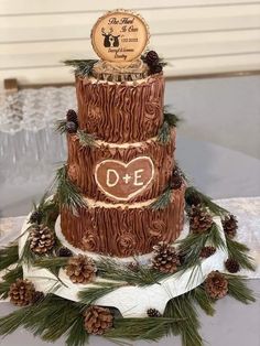 a three tiered cake decorated with pine cones