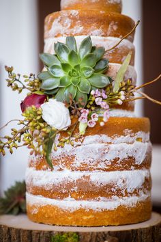 a three tiered cake with succulents and flowers on top is sitting on a tree stump