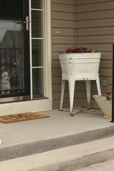 a white planter sitting on top of a step next to a door with a dog in the window