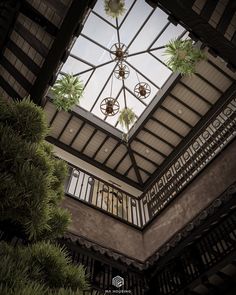 the ceiling is decorated with plants and hanging from it's glass roof, as well as two chandeliers