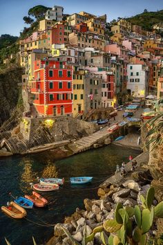 boats are parked on the shore in front of colorful buildings