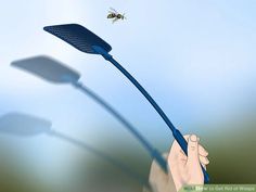 a hand holding a blue plastic spatula with a fly on it's tip