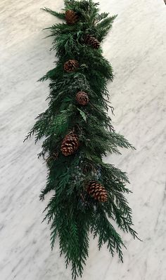 pine cones and evergreen needles are arranged on the snow